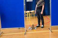 IMG-20251016-WA0034