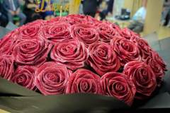 IMG-20250426-WA0002