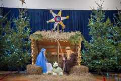 IMG-20251220-WA0017
