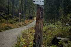 IMG-20251012-WA0005