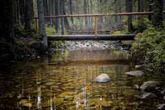IMG-20251012-WA0006