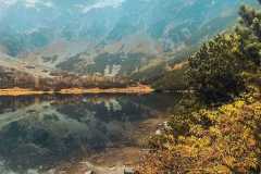 IMG-20251012-WA0017