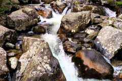 IMG-20251012-WA0019