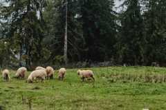 IMG-20251012-WA0023