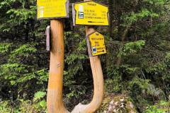 IMG-20251012-WA0029