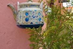 IMG-20260513-WA0017