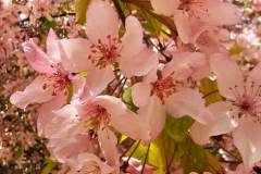 IMG-20260513-WA0031